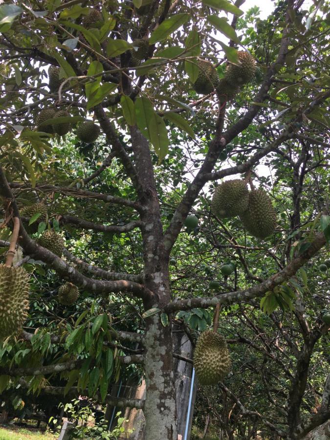 Phoohongsa Resort Nakhon Nayok Bagian luar foto