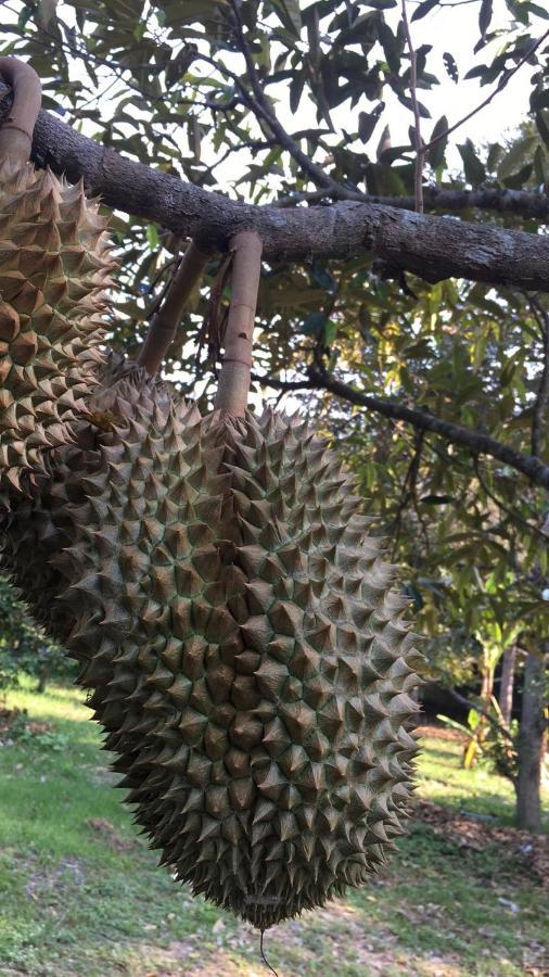 Phoohongsa Resort Nakhon Nayok Bagian luar foto